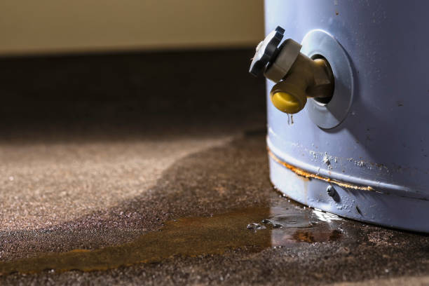Carpet water damage restoration in HI