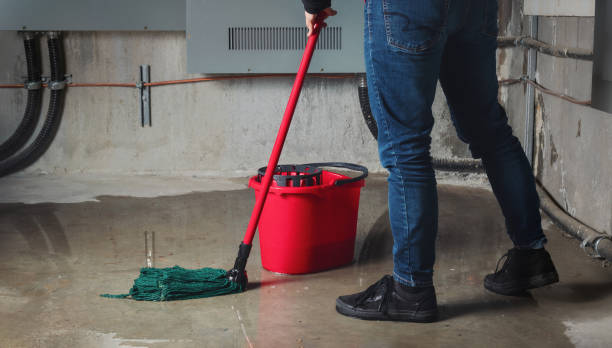Best Flooded house restoration  in Waimea, HI