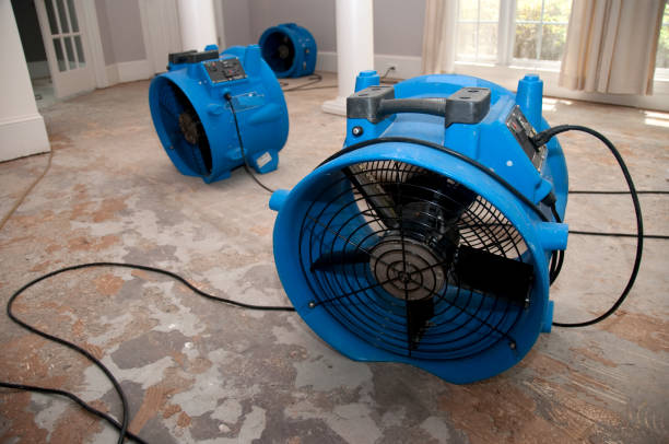 Best Water damage restoration specialists  in Waimea, HI
