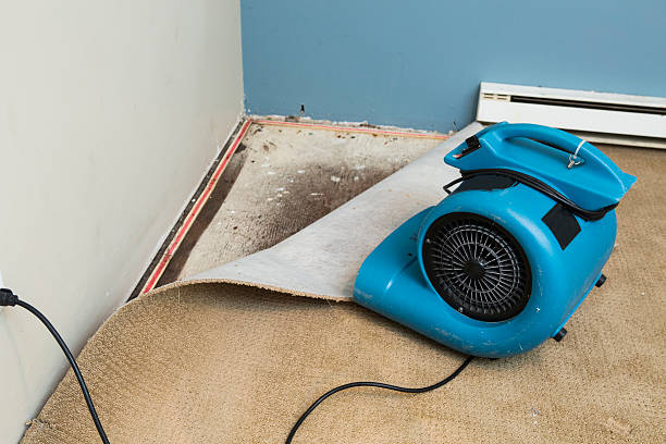 Best Flood restoration services  in Waimea, HI